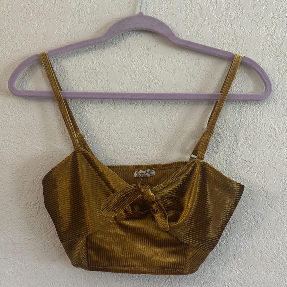 Free People Bronze/Gold Velvet Crop Top